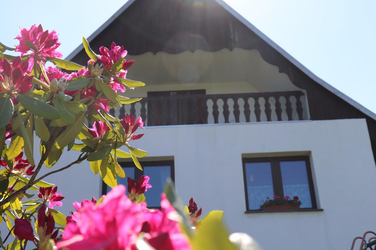 Pension Hubertushof Monteurunterkunft Freiberg Kültér fotó